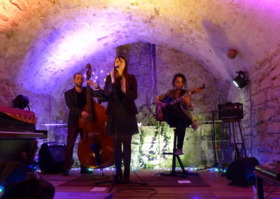 Dixit Trio. Un savant mélange de hit, de nostalgie, d’arrangements chic et groovy, ne laissant personne indifférent. Au travers de leur univers, ils revisitent les rythmes irrésistibles d’un Michael Jackson, la chaleur d’une Amy Winehouse ou la fraicheur d’un Ed Sheeran. A la justesse d’une formation Contrebasse, Guitare et Chant, s’ajoute ce bouillonement d’influence qui fait la singularité de chacune de leurs prestations : polymorphe et exigeante.